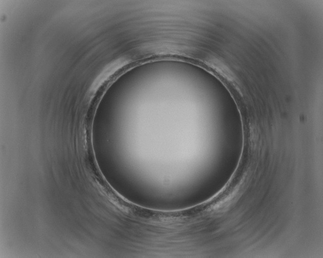 X0000062610782200512211135