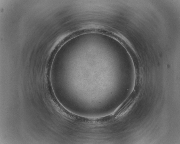 X0000062610783200512211135