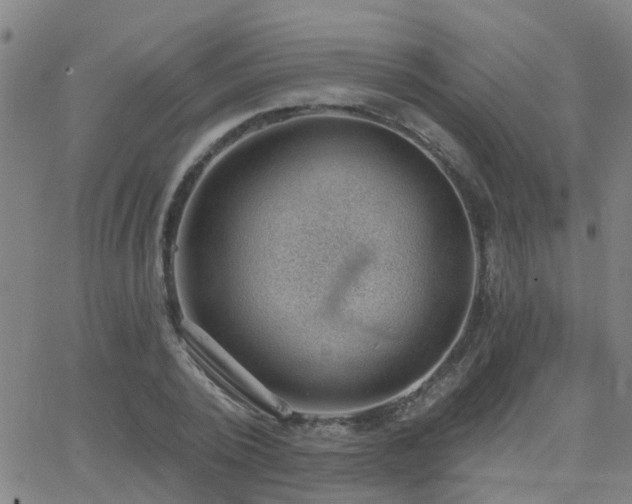 X0000062610784200512211135