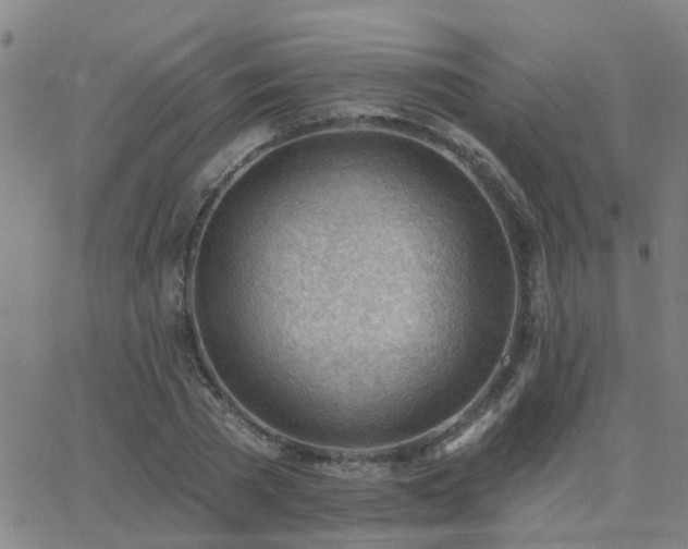 X0000062610785200512211135