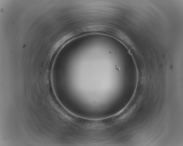 X0000062610786200512211135