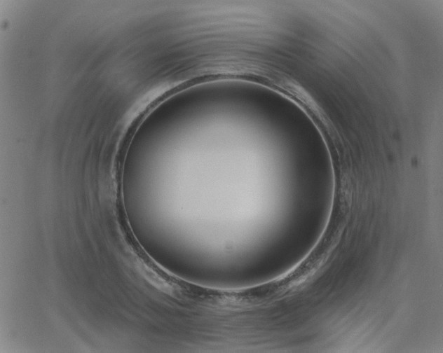 X0000062610787200512211135