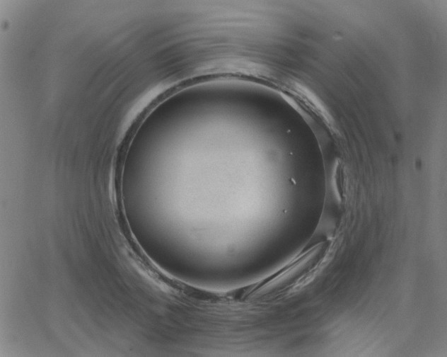 X0000062610788200512211135