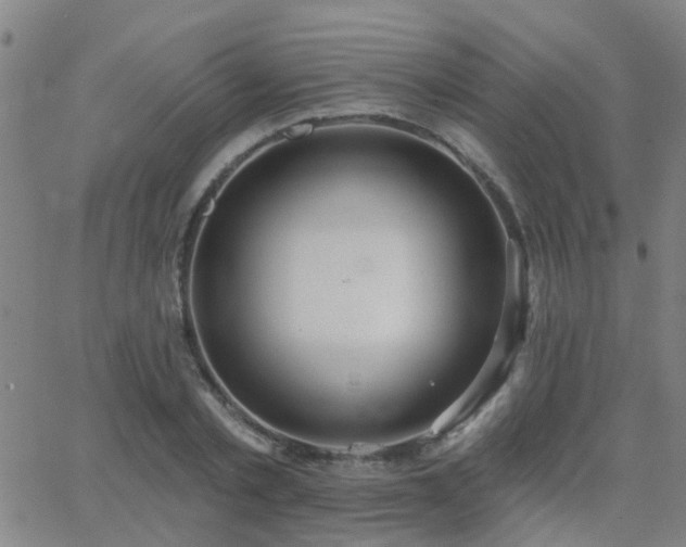 X0000062610789200512211135