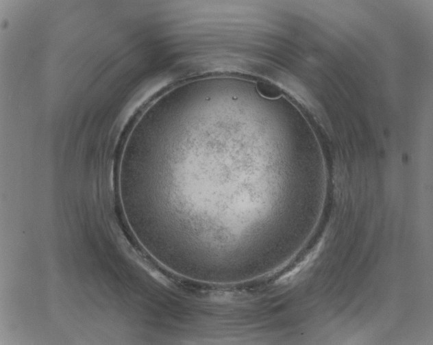 X0000062610790200512211135