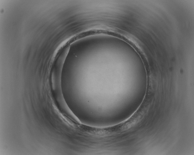 X0000062610791200512211135