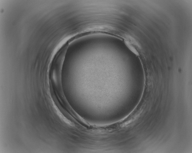 X0000062610792200512211135