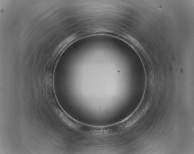 X0000062610793200512211135