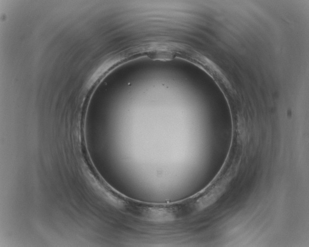 X0000062610794200512211135