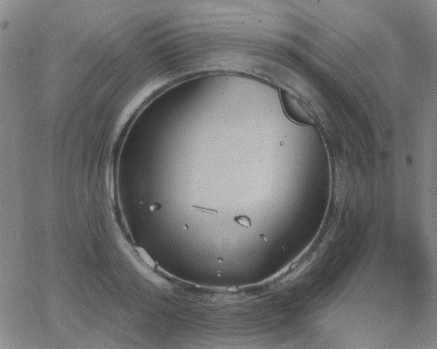 X0000062610796200512211135