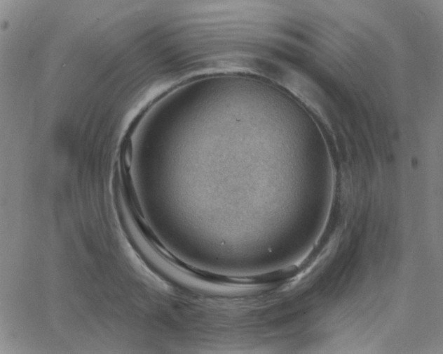 X0000062610797200512211135