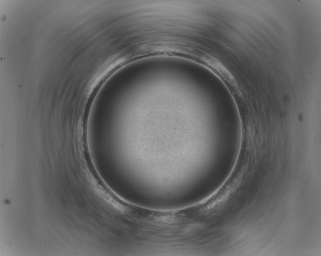 X0000062610798200512211135