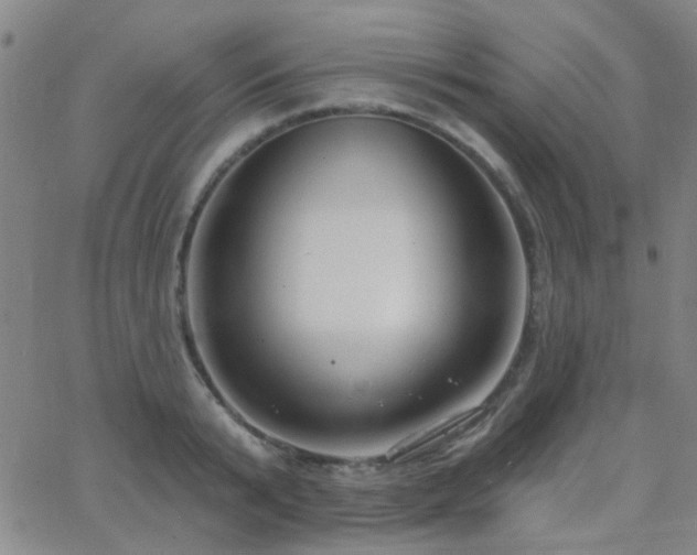 X0000062610799200512211135