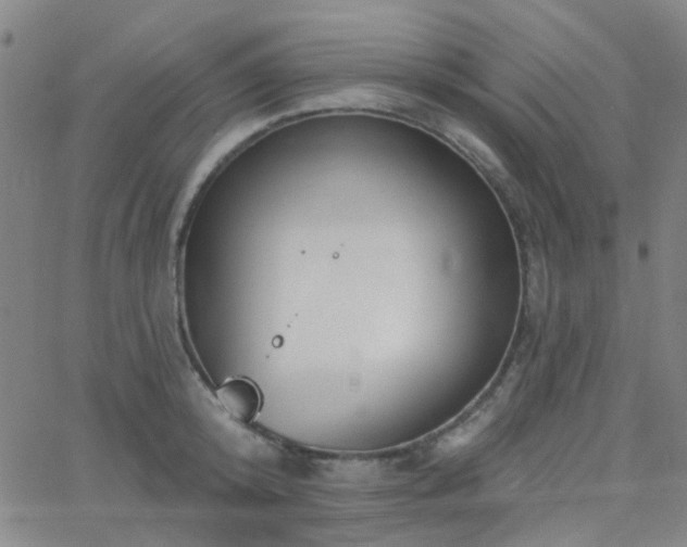 X0000062610800200512211135