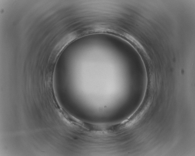 X0000062610801200512211135