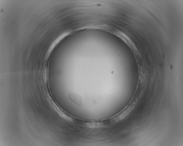 X0000062610804200512211135