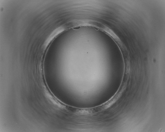 X0000062610806200512211135