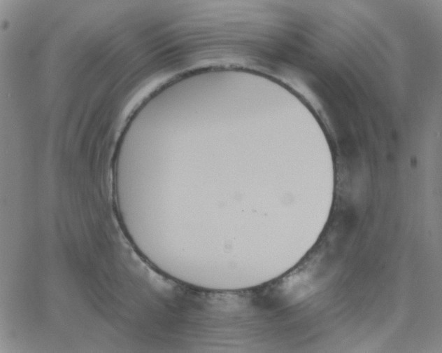 X0000062610807200512211135