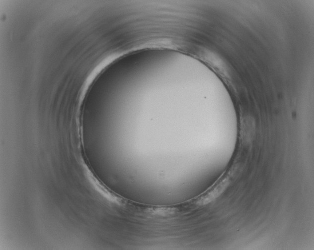 X0000062610808200512211135