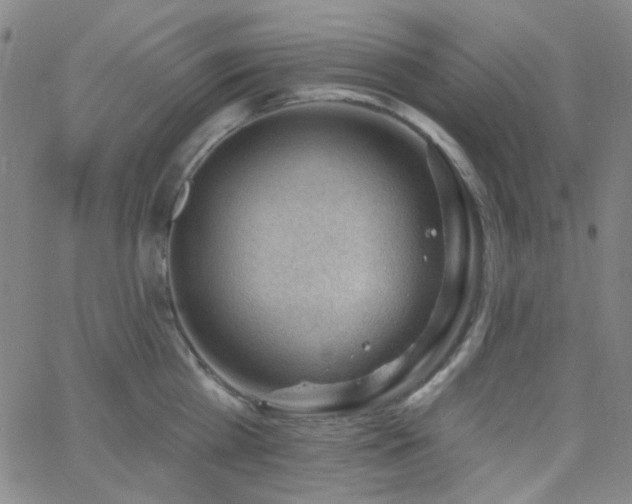 X0000062610809200512211135