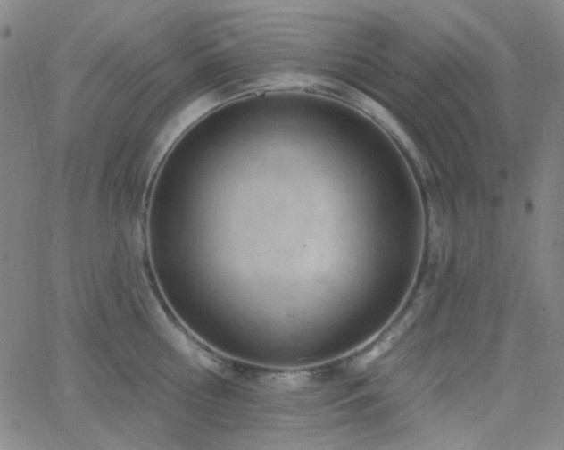 X0000062610810200512211135