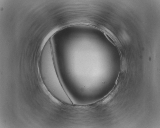 X0000062610812200512211135