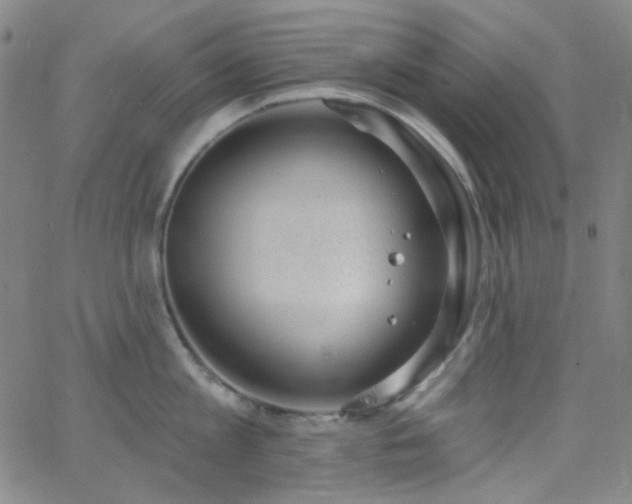 X0000062610813200512211135