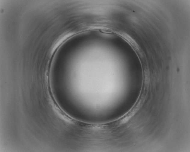 X0000062610814200512211135