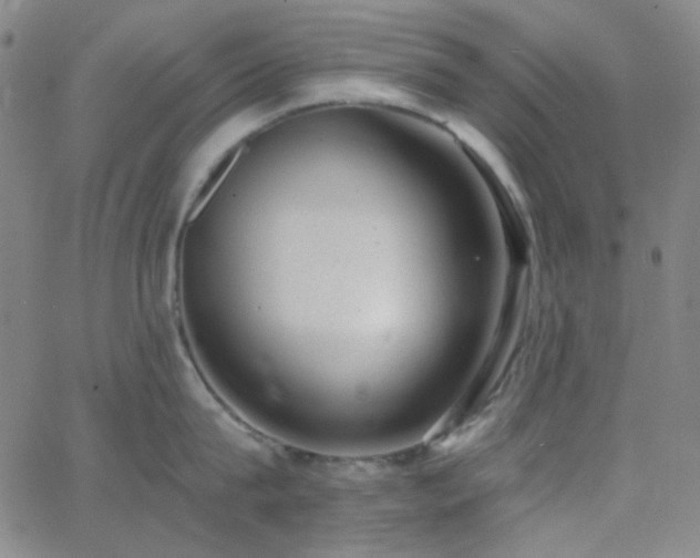 X0000062610815200512211135