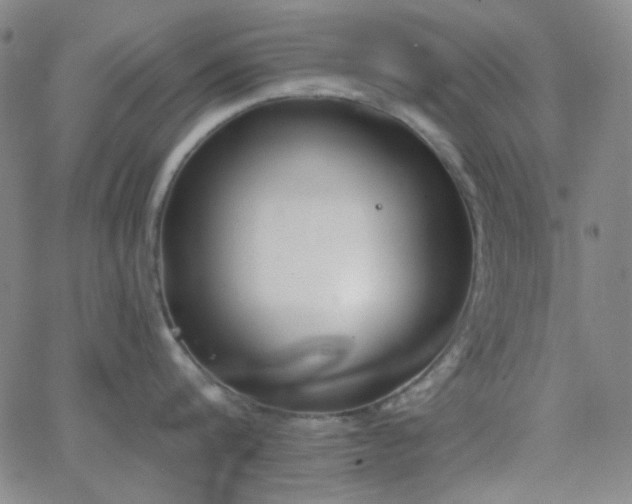 X0000062610816200512211135