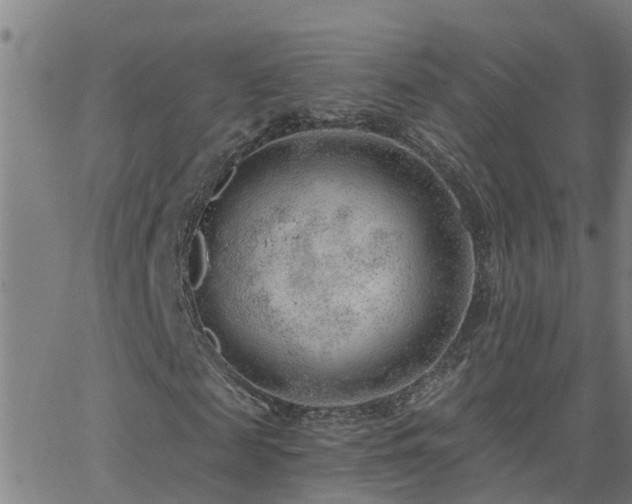 X0000062610817200512211134