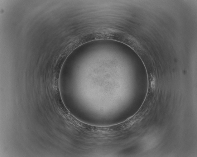 X0000062610819200512211134