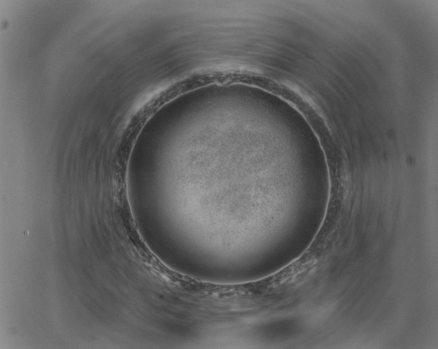 X0000062610823200512211134