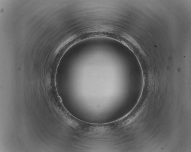 X0000062610826200512211134