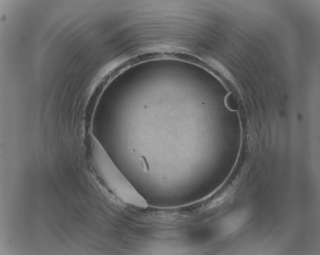 X0000062610831200512211134