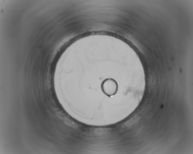 X0000062610832200512211134