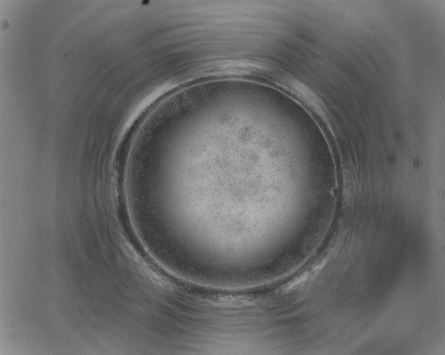 X0000062610835200512211134