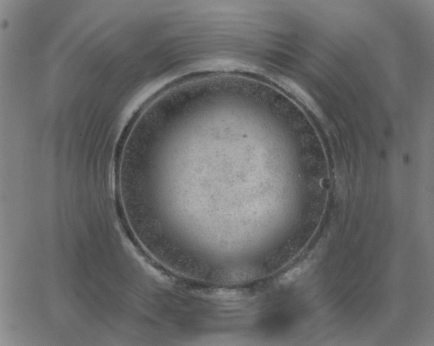 X0000062610839200512211134