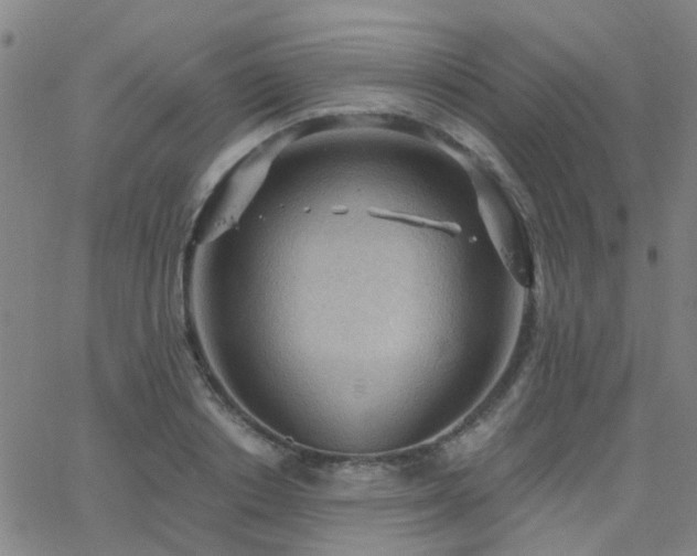 X0000062610842200512211135