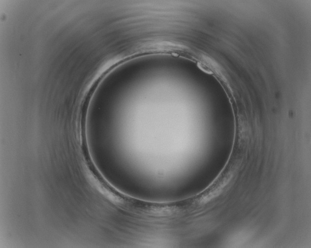 X0000062610843200512211135