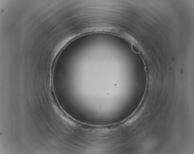 X0000062610844200512211135