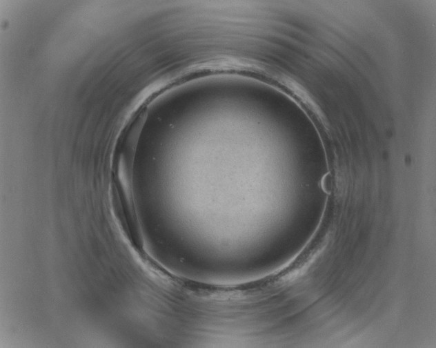 X0000062610845200512211135