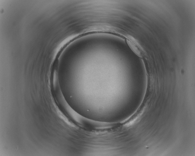 X0000062610846200512211135