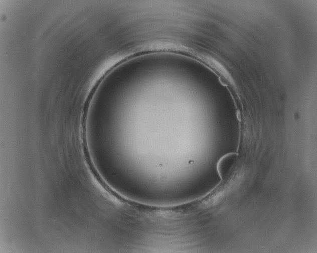 X0000062610847200512211135