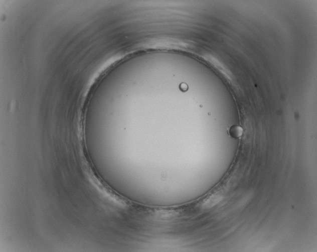 X0000062610848200512211135