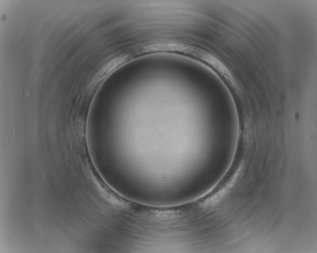 X0000062610849200512211135