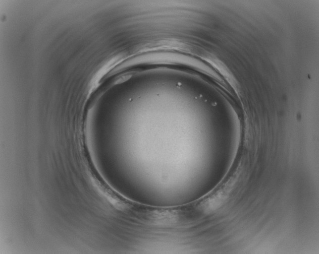 X0000062610850200512211135