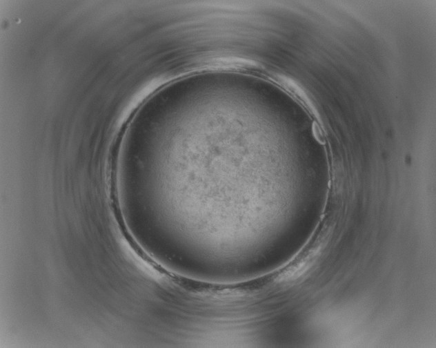 X0000062610851200512211135