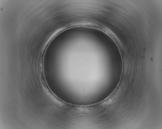 X0000062610852200512211135