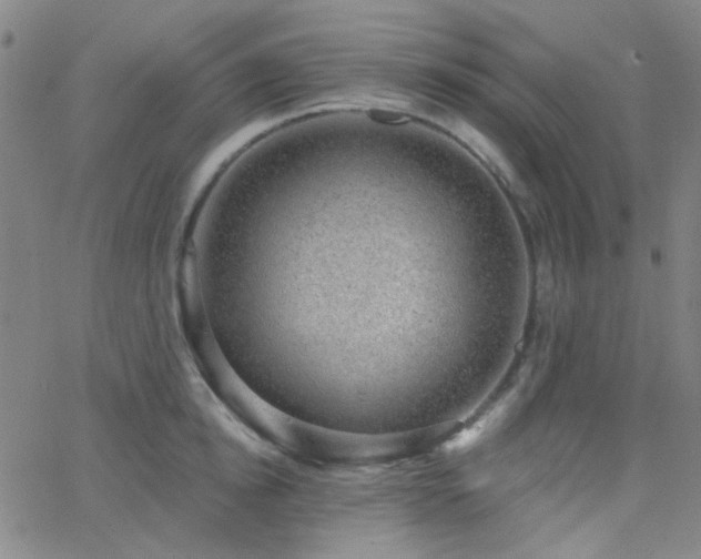 X0000062610854200512211135